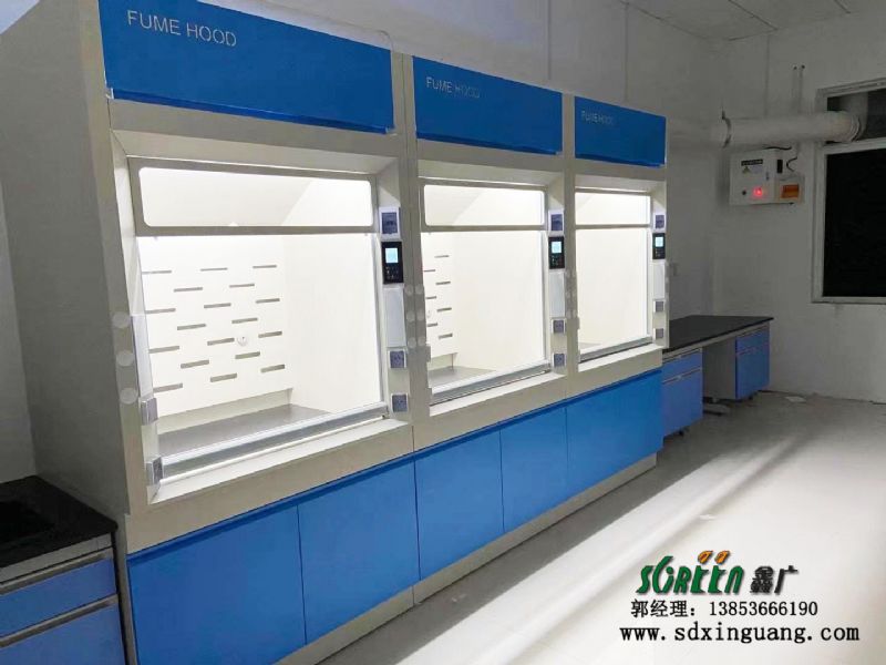 東營(yíng)市山東大明環(huán)保工程技術(shù)有限公司實(shí)驗(yàn)室邊臺(tái)、通風(fēng)系統(tǒng)等實(shí)驗(yàn)室家具安裝現(xiàn)場(chǎng)
